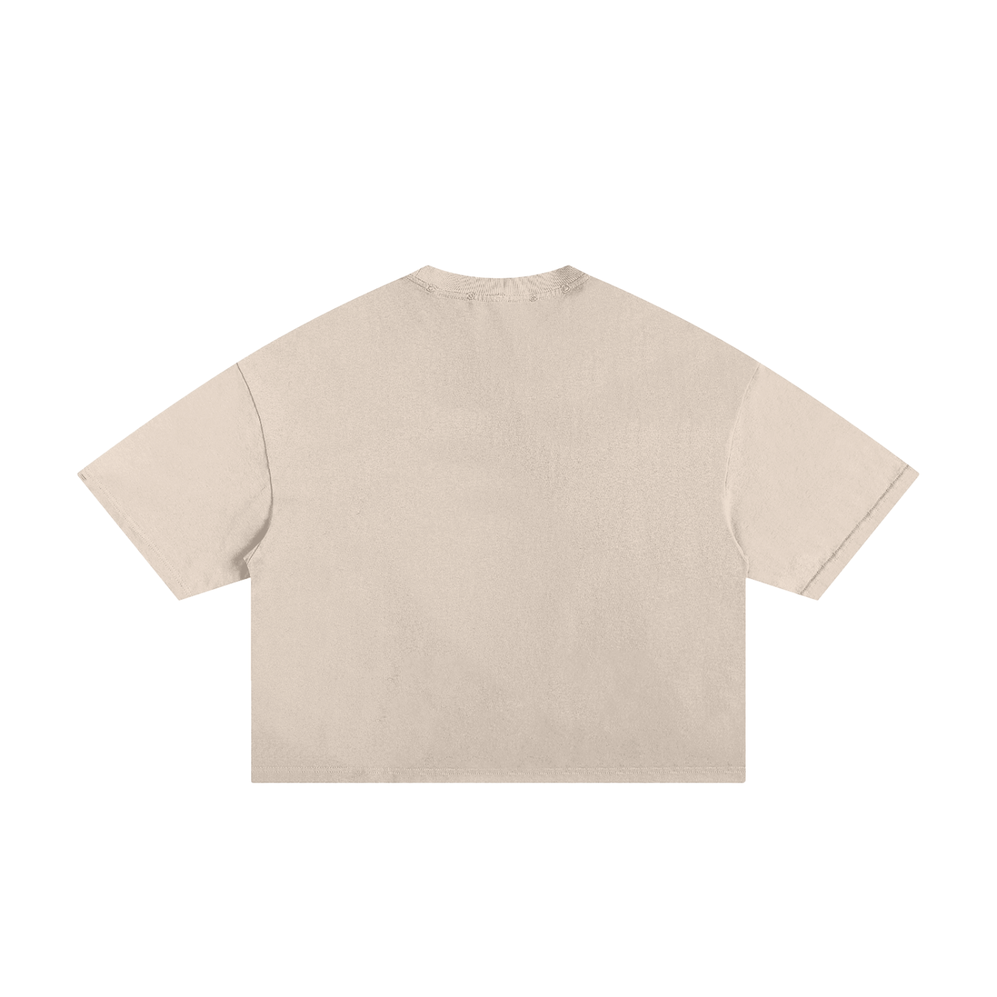 "Restricted" Frayed Boxy Graphic Tee